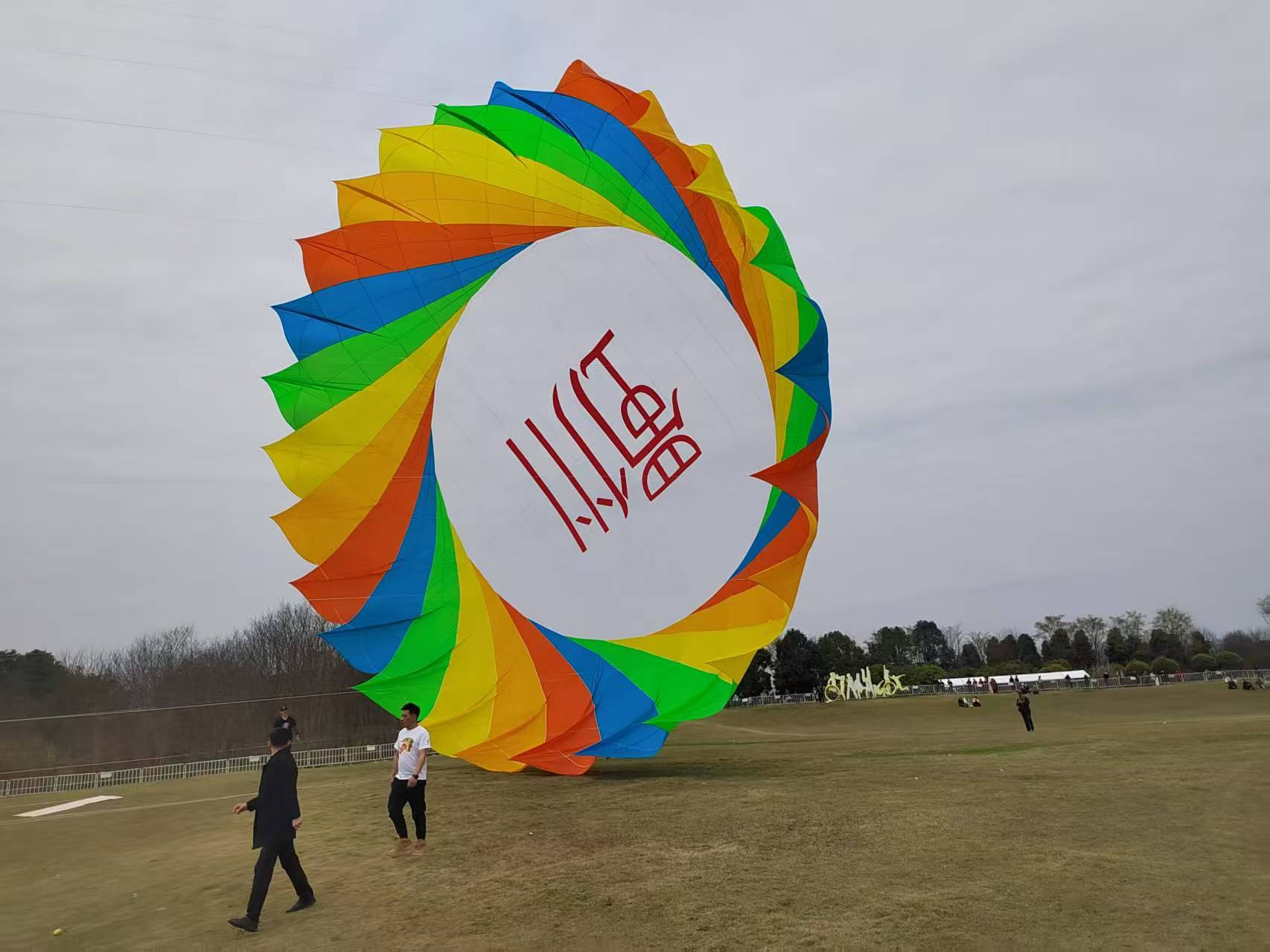 资阳市风筝定制风筝批发 - 一站式服务