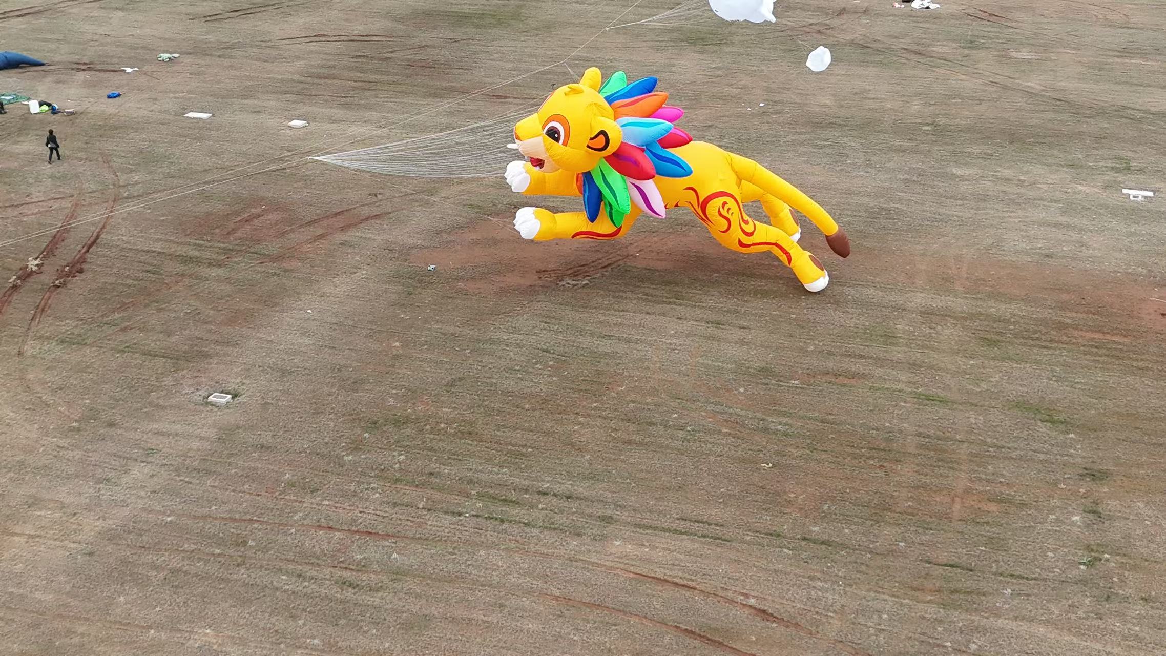 资阳市品牌风筝定制品牌风筝定制 - 厂家