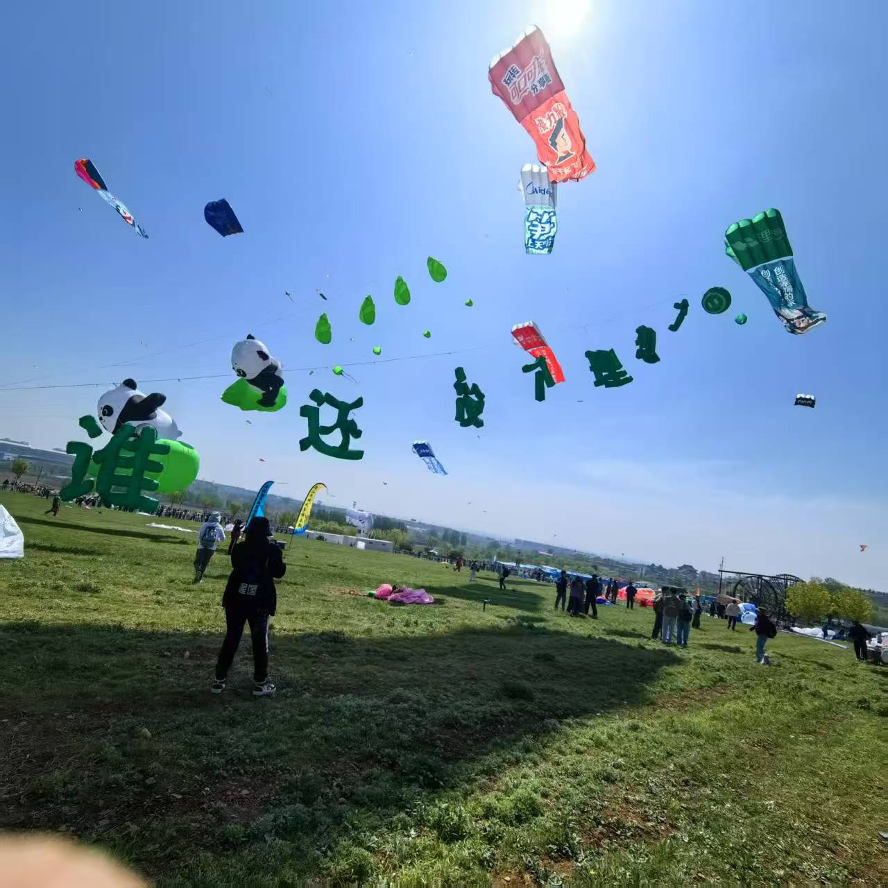 资阳市儿童风筝定制风筝定制 - 方案